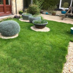 Techniques de taille pour maintenir un jardin esthétique et en bonne santé Matoury